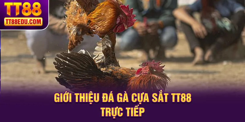 Giới thiệu đá gà cựa sắt TT88 trực tiếp