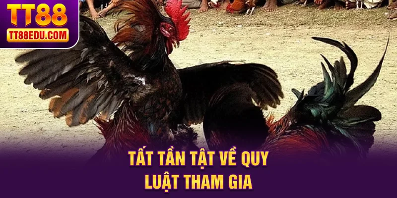 Tất tần tật về quy luật tham gia