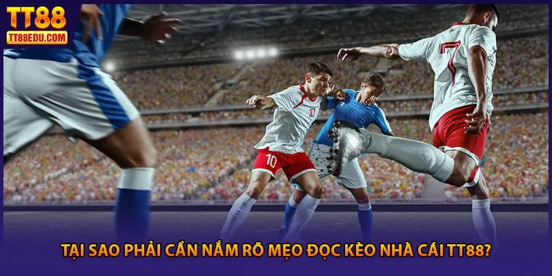 Tại sao phải cần nắm rõ mẹo đọc kèo nhà cái TT88?